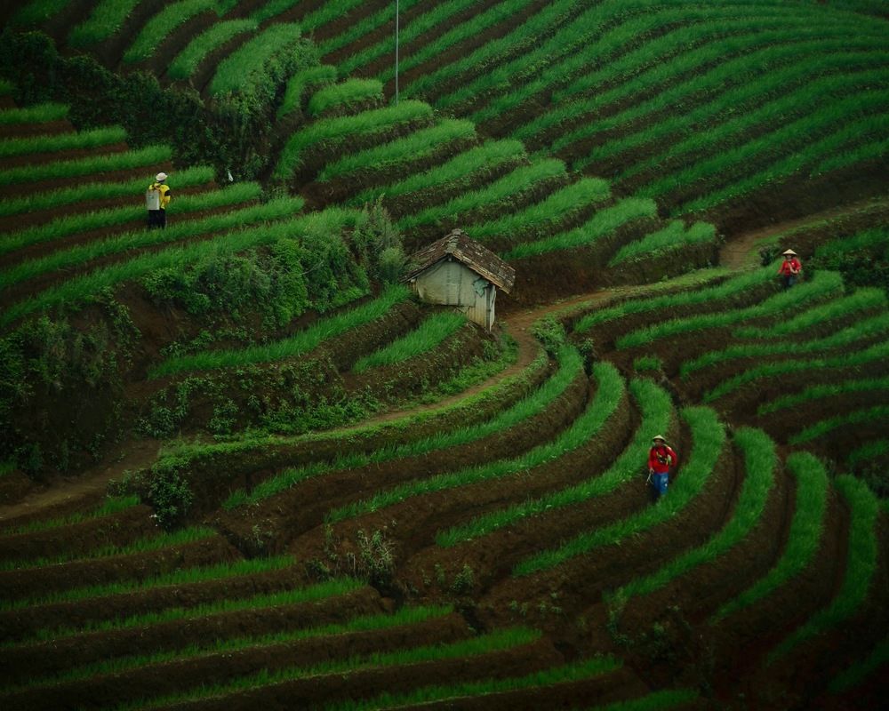 Photograph by mas julianto