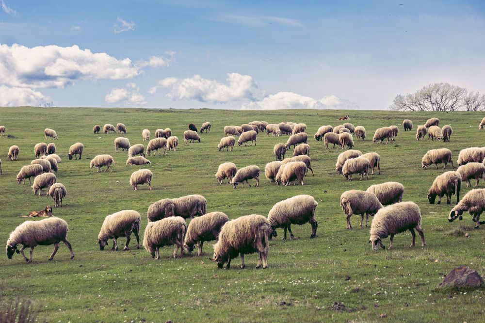 Photograph by Илья Сафаров