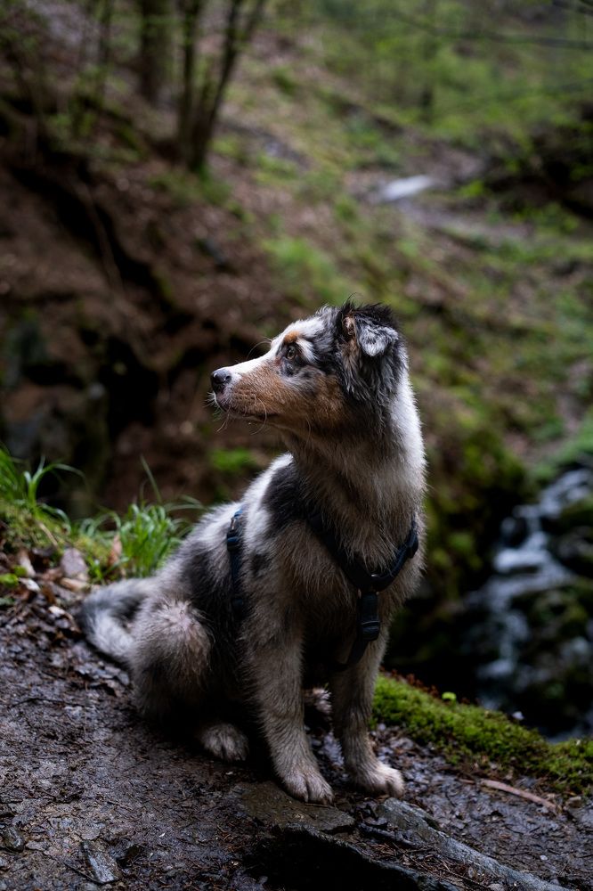 Photograph by Anna Agaltsova