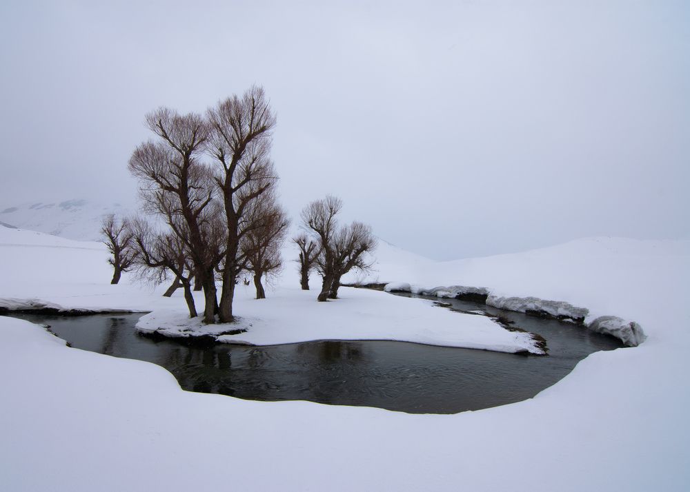 Фотография автора mohammad Alipour