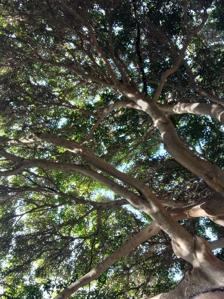 Photograph by Luisa Maria Rosa Alvarez Diaz