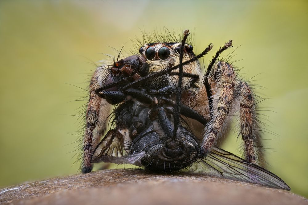 Photograph by Юрий Юрьевич