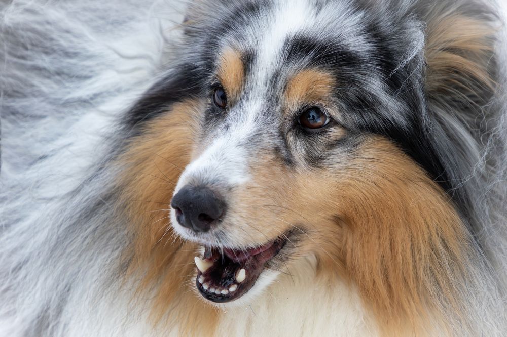 Photograph by Юлия Куликова