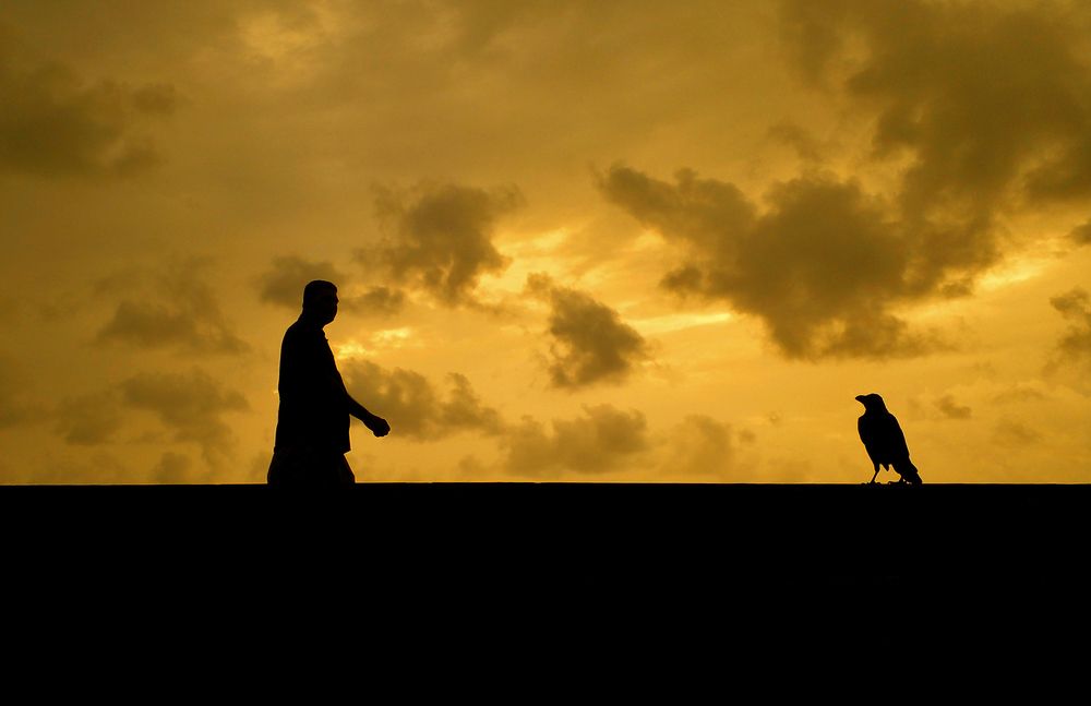 Фотография автора Laddu Sasindu Pramuditha De Silva