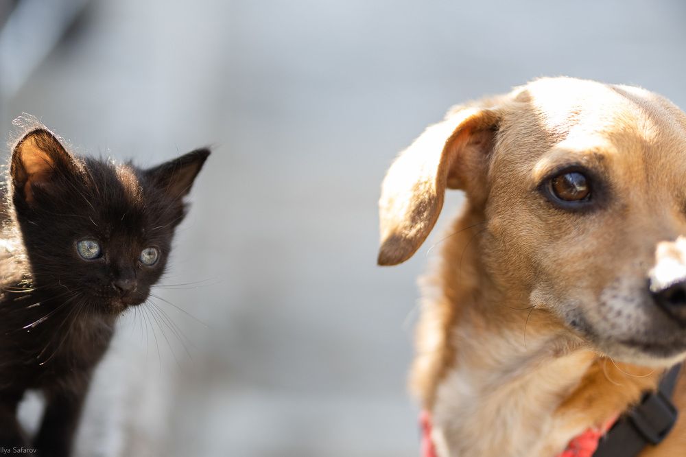 Photograph by Илья Сафаров