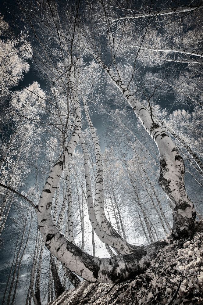 Photograph by Тамара Андреева