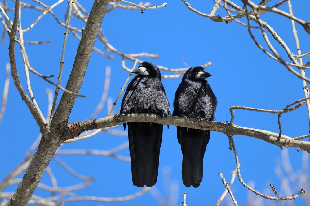 Photograph by Анна