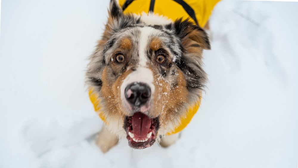 Photograph by Anna Agaltsova