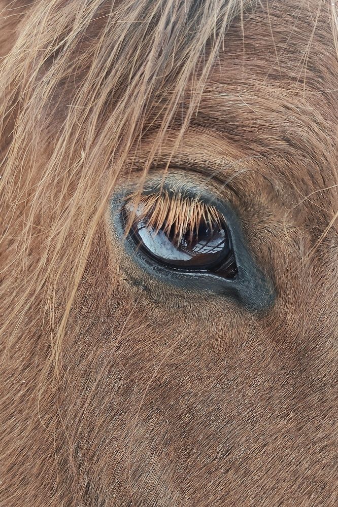 Фотография автора Елена Кириллова