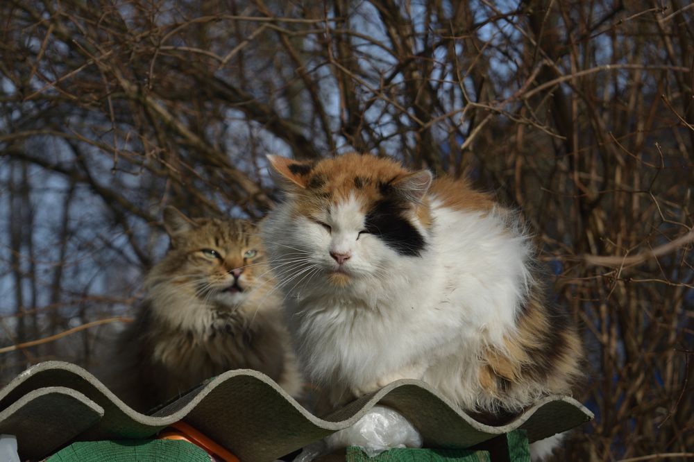 Photograph by Владислав Циклинский