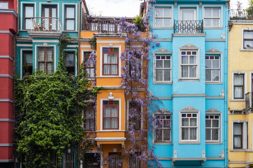 Photograph by Илья Сафаров