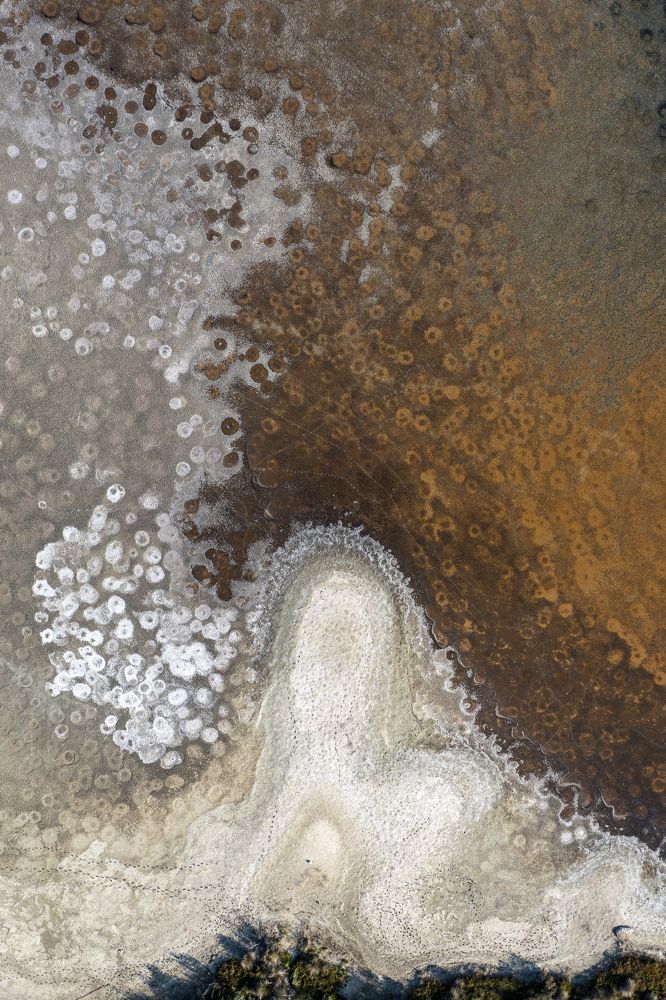 Photograph by Carlo Murenu