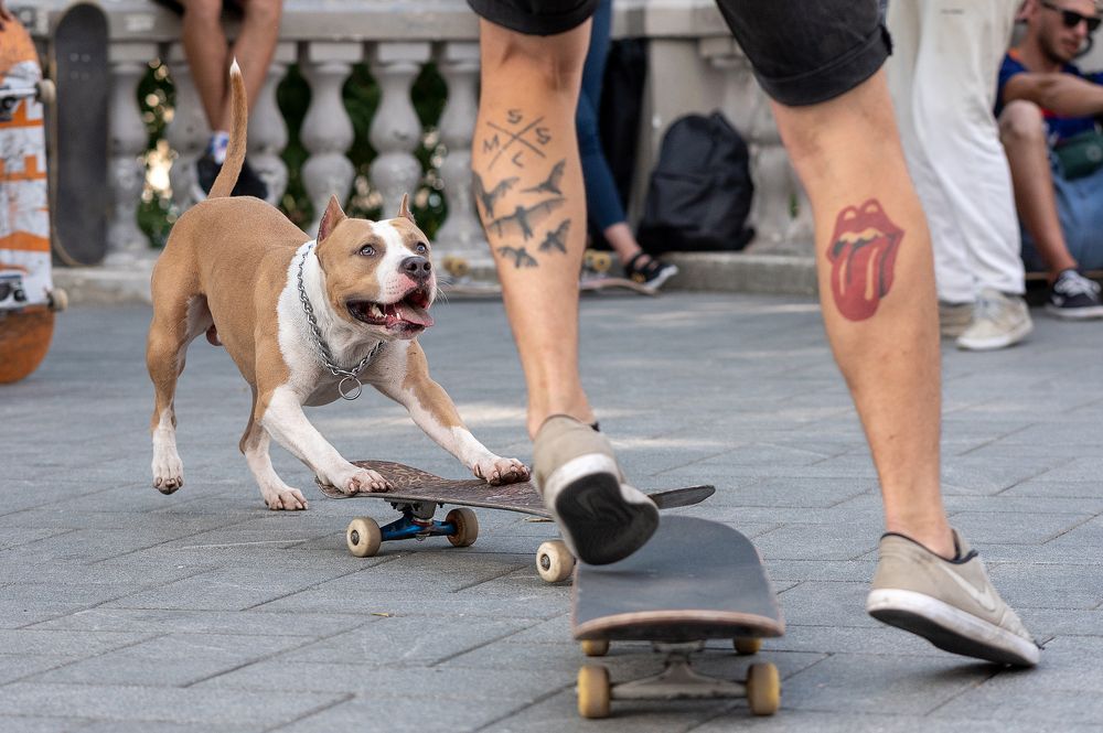 Photograph by Evgeny Vdovin