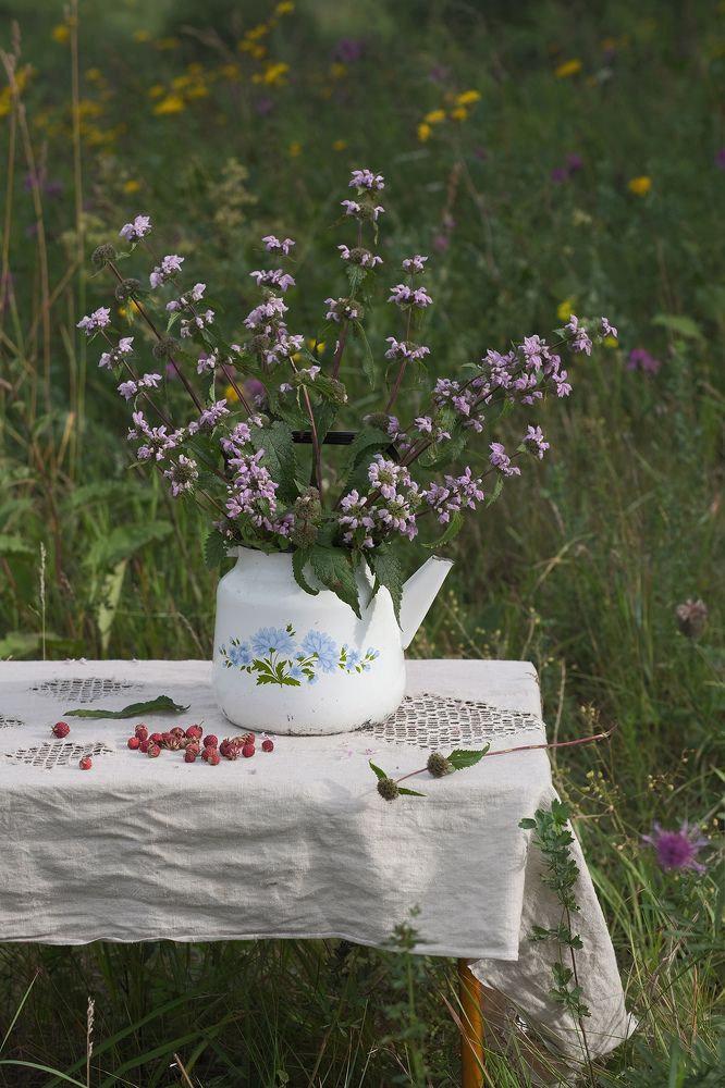 Натюрморты с чайником