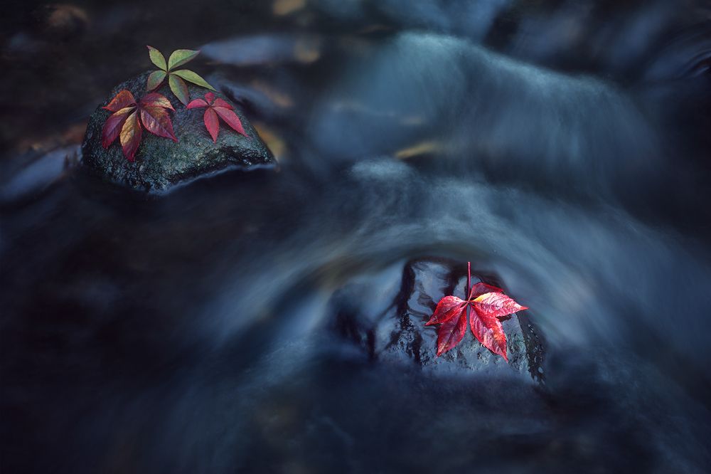 Photograph by Чорный Александр