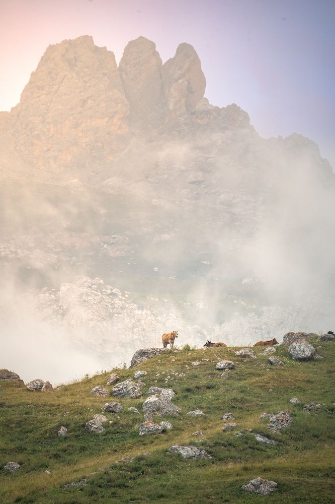 Photograph by Павел Токарев