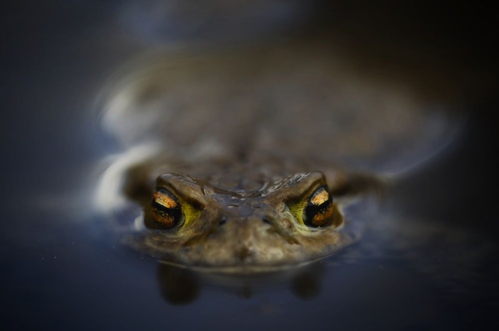 Photograph by Владимир Микрокосмос