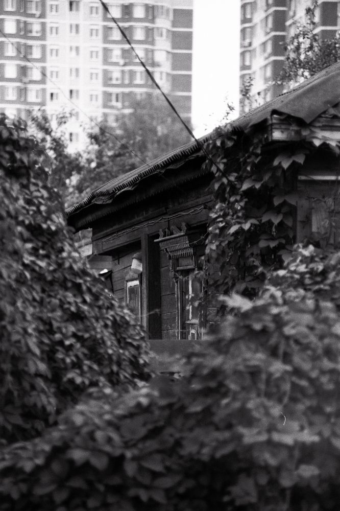 Photograph by Renovatio Craft