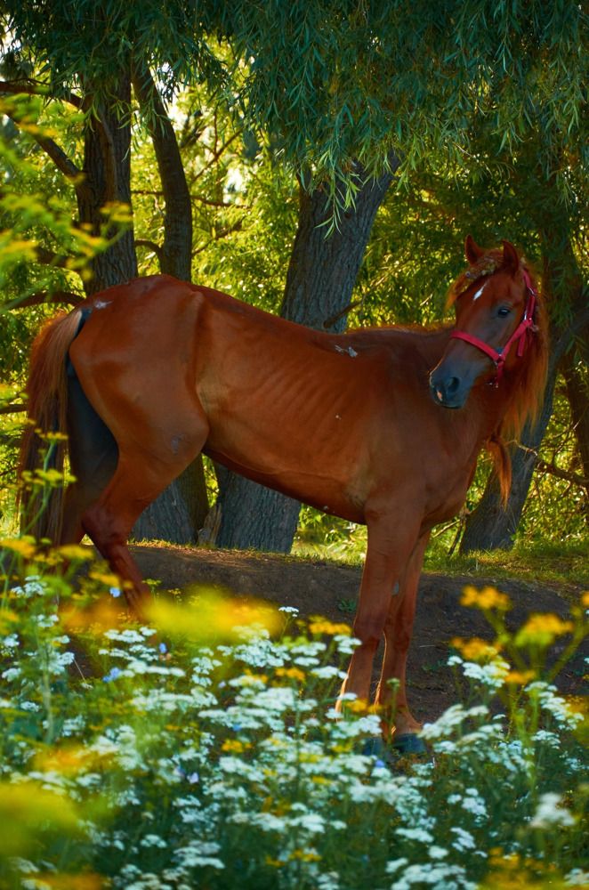 Photograph by Елена Кадаева