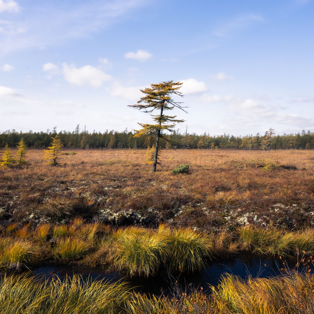 Photograph by Антон Сидоров