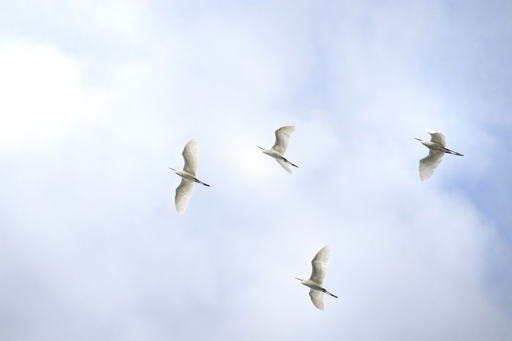 Photograph by Pavel Gribtsov