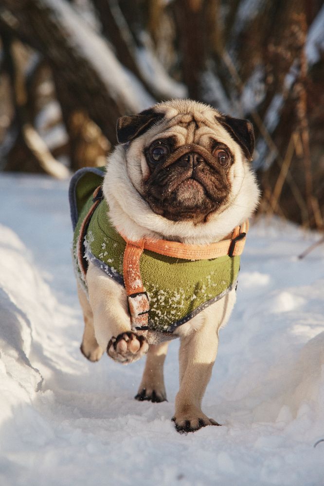 Photograph by Дмитрий Тельнов