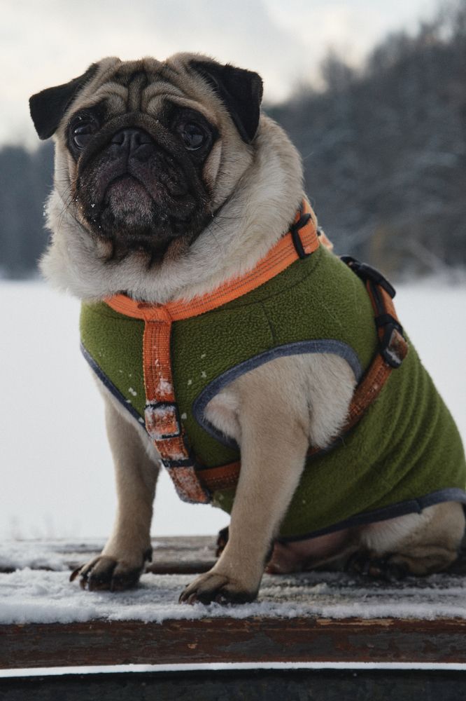 Photograph by Дмитрий Тельнов