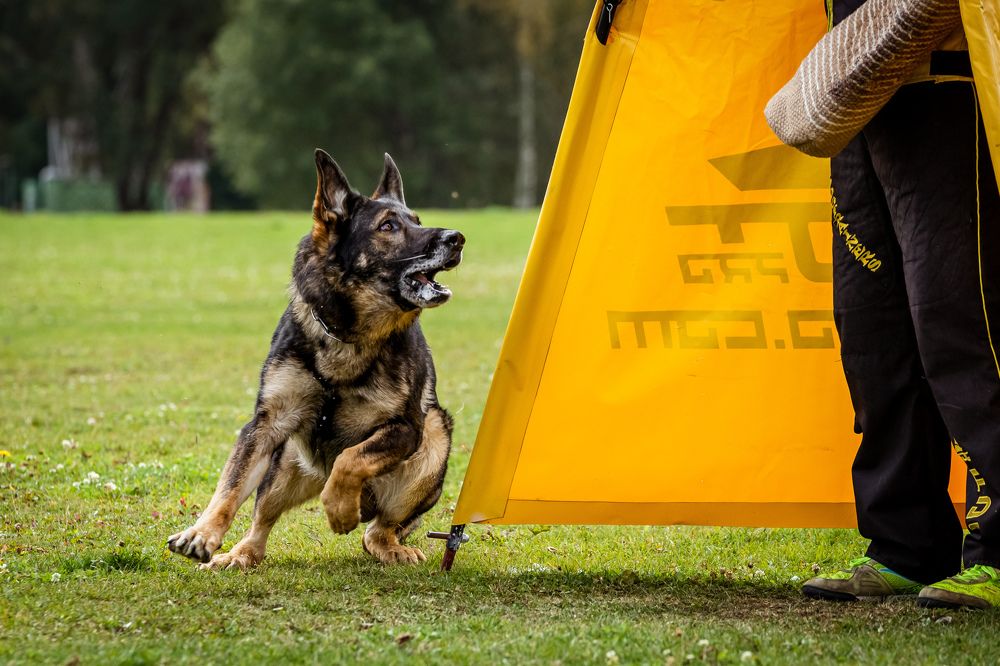 Photograph by Елена Вьюркова