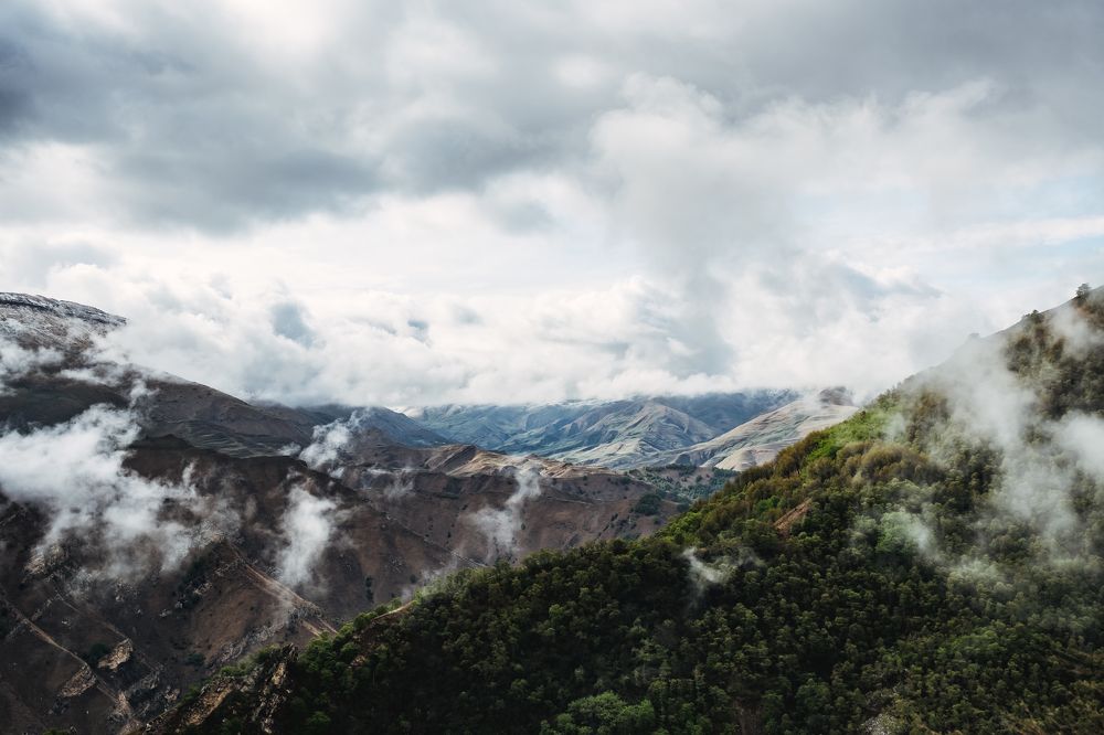 Photograph by Slava Storozhev