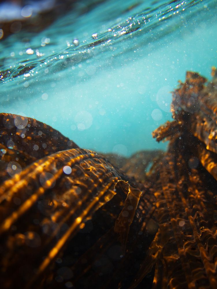 Фотография автора Анна Олещук