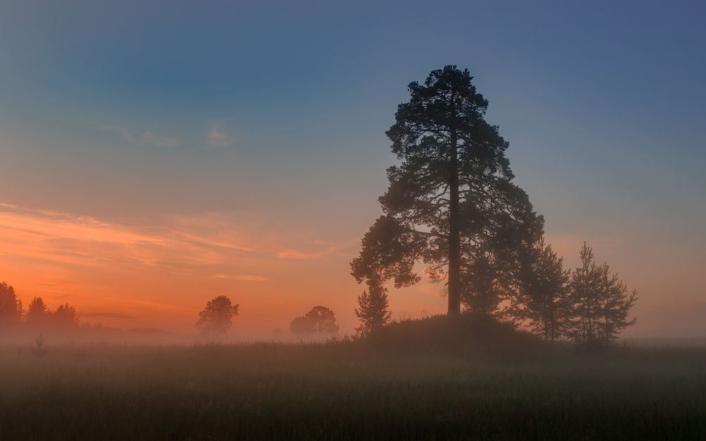 Photograph by Алексей Фрилунд