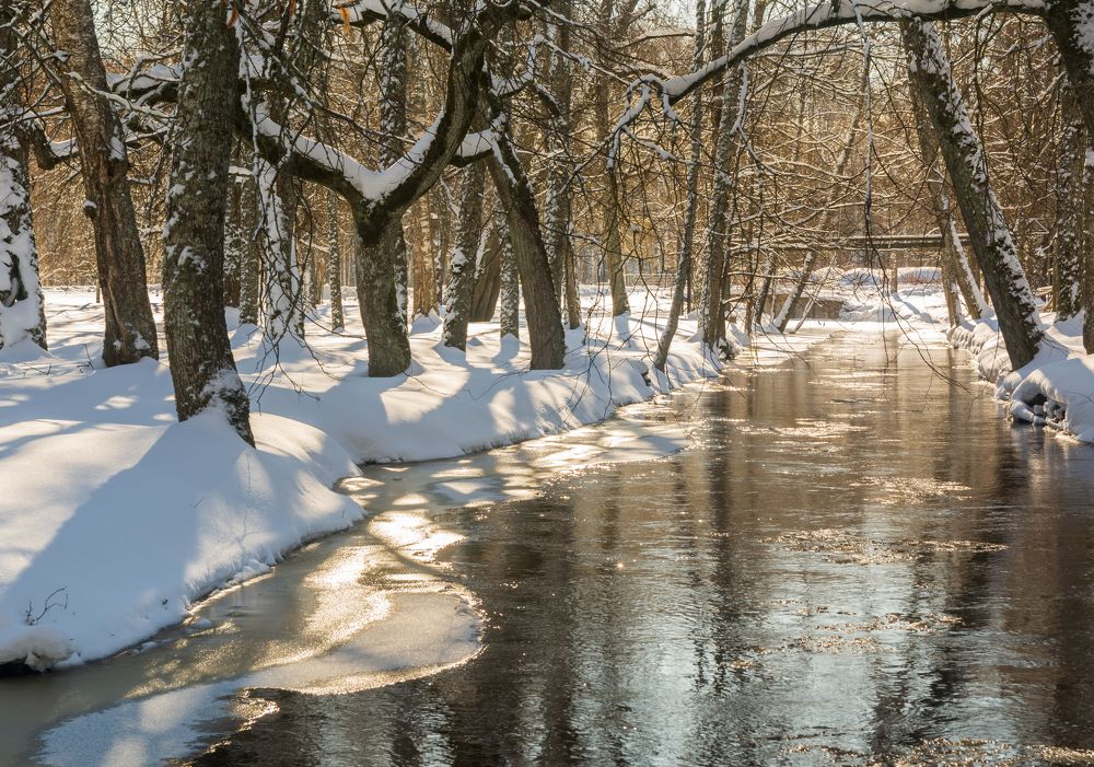 Photograph by Agita Leimane