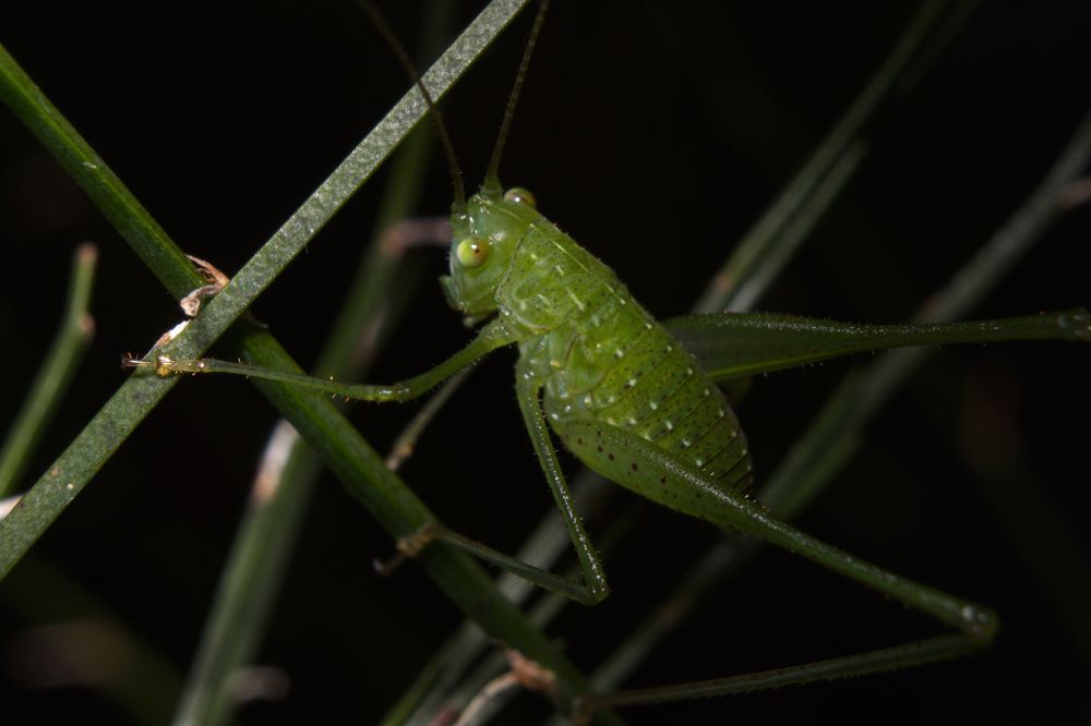 Фотография автора Andres Beltran