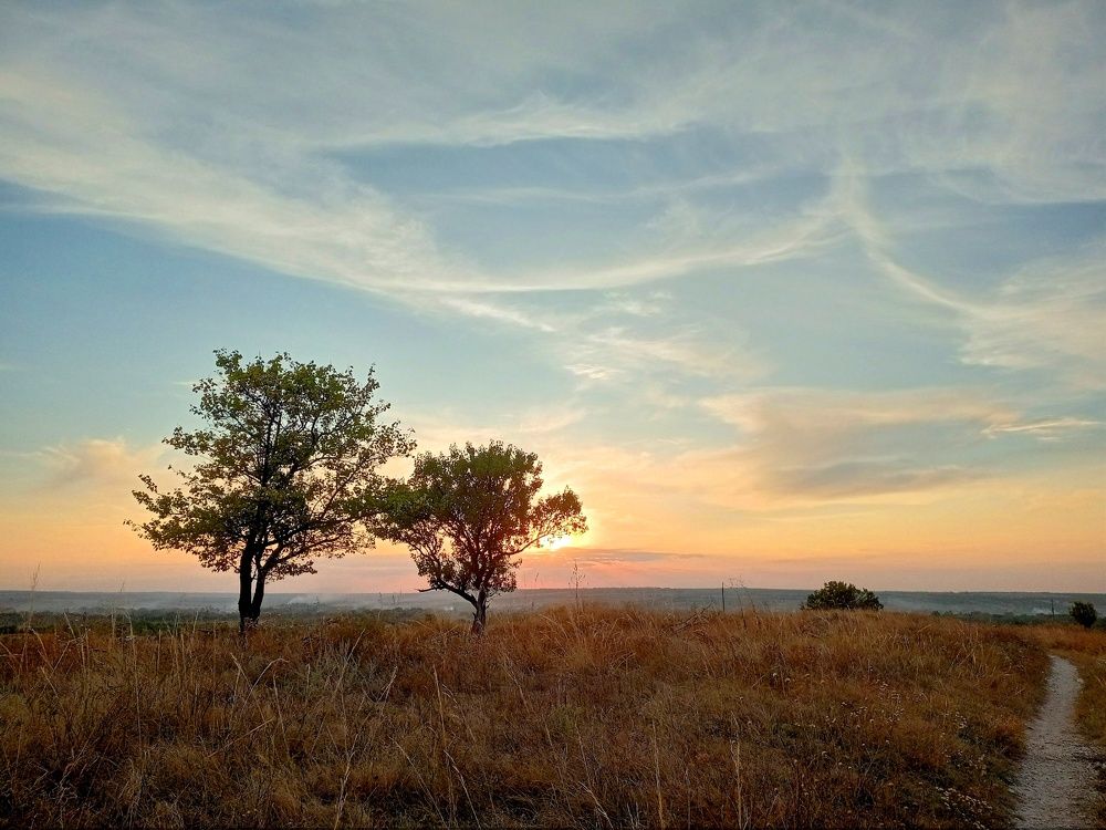 Photograph by Юлия Кононова