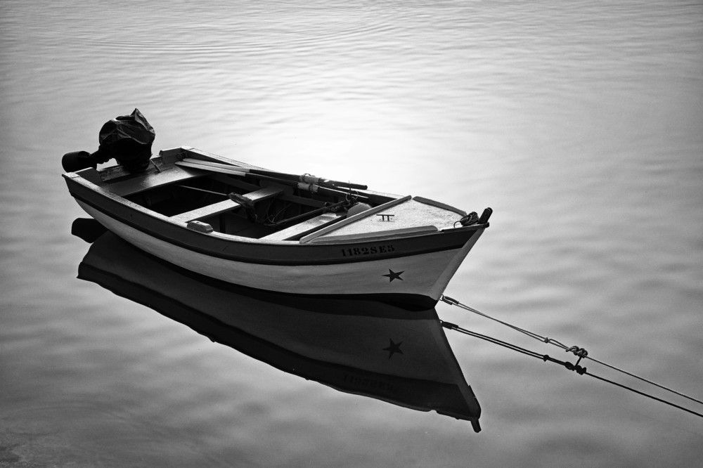 Photograph by Mário C.