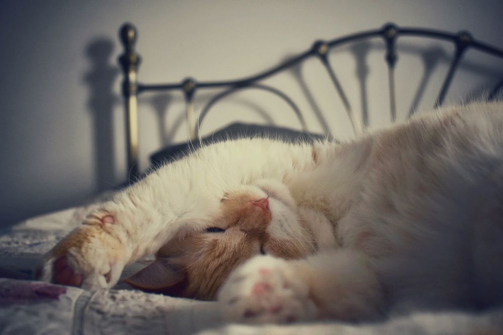 Photograph by Кира Бахвалова