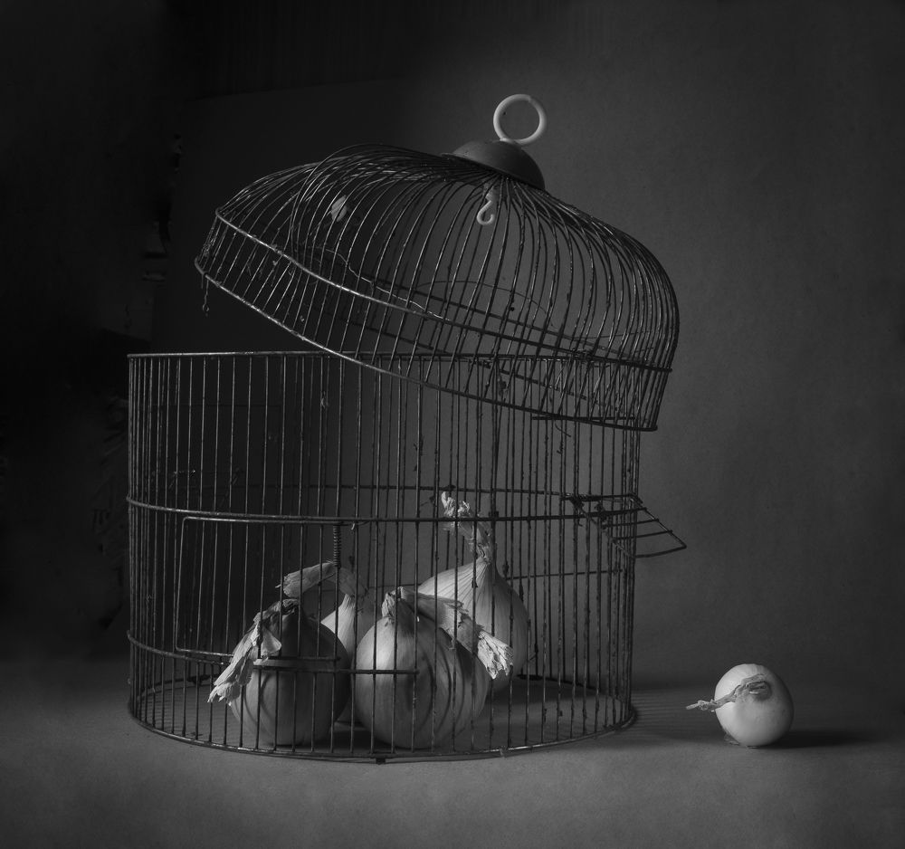 Photograph by Елена Николаева