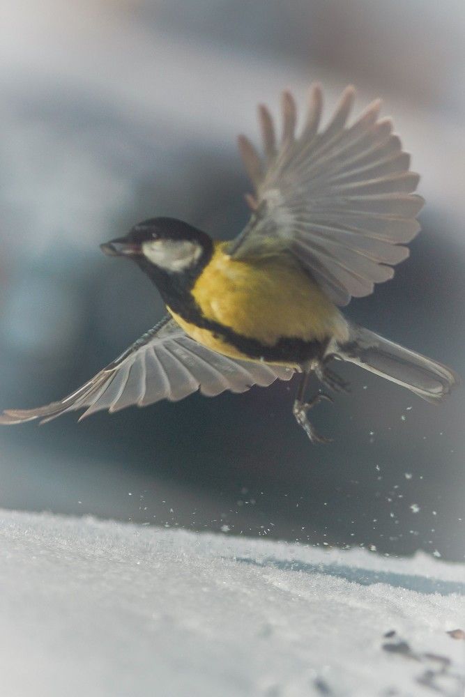 Фотография автора Юрий Кульмяков