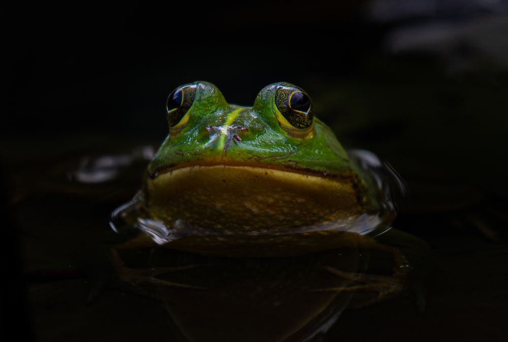 Photograph by Sheikh Ahmedul Hoque