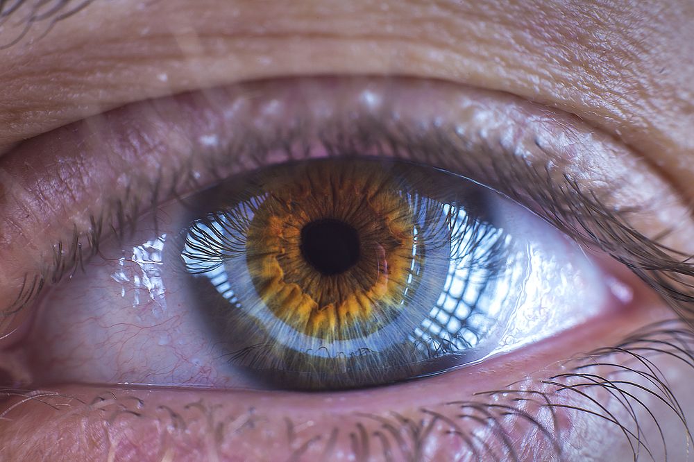 Фотография автора Reza Feizy