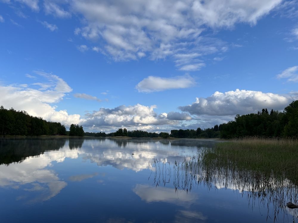 Photograph by Болдырева Ольга