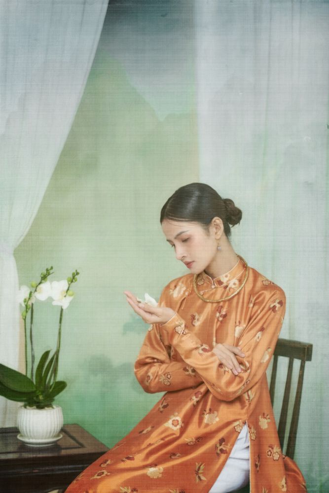 Ao Dai Vietnam - painting style