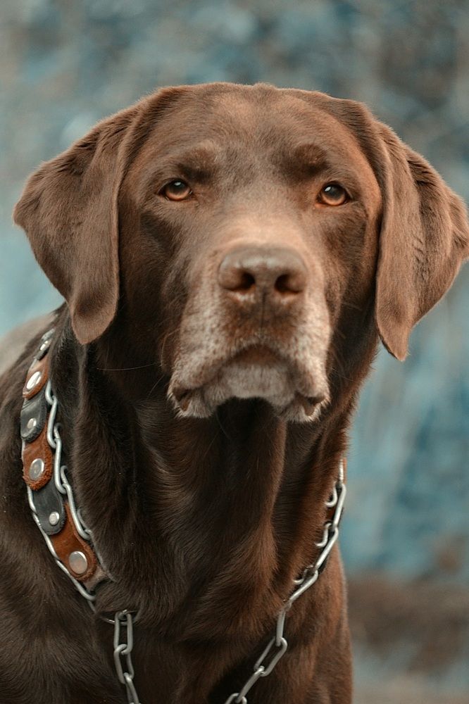 Photograph by Соколова Елена