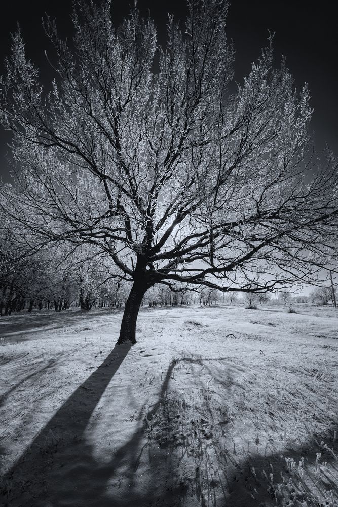 Фотография автора Игорь Баранов