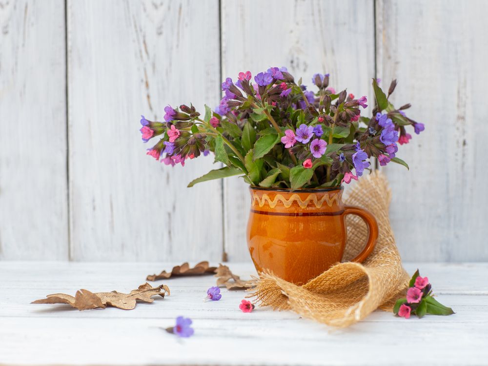 Photograph by Екатерина Лопухова