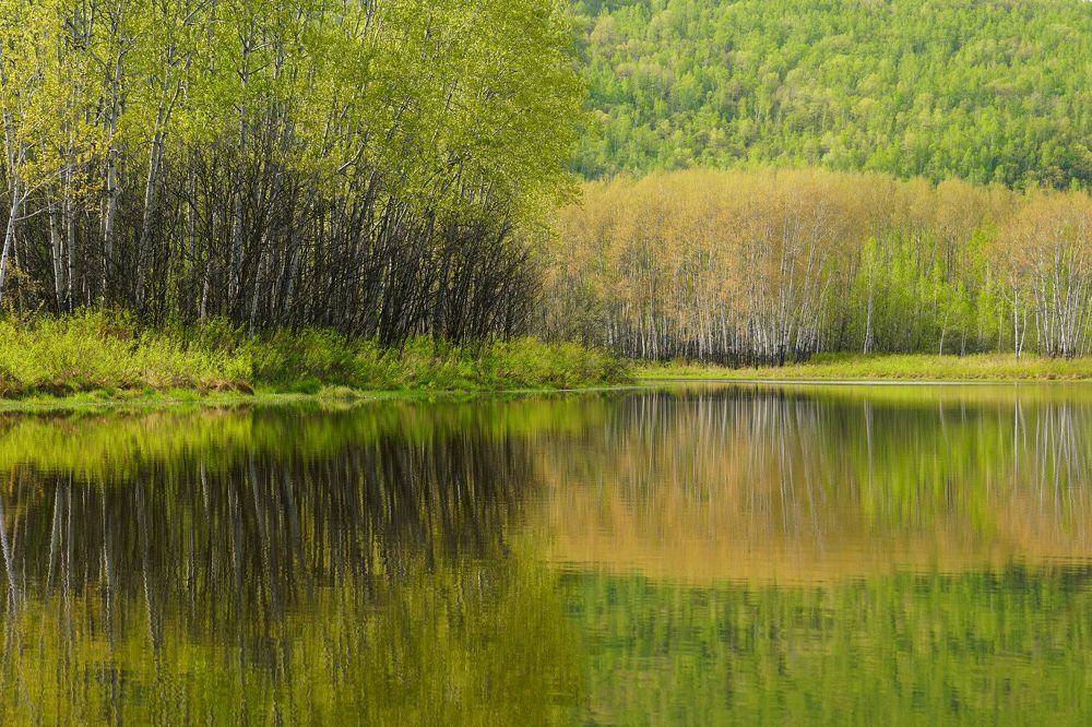 Photograph by Ирина Щеглова