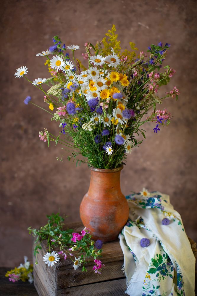 Photograph by Екатерина Лопухова