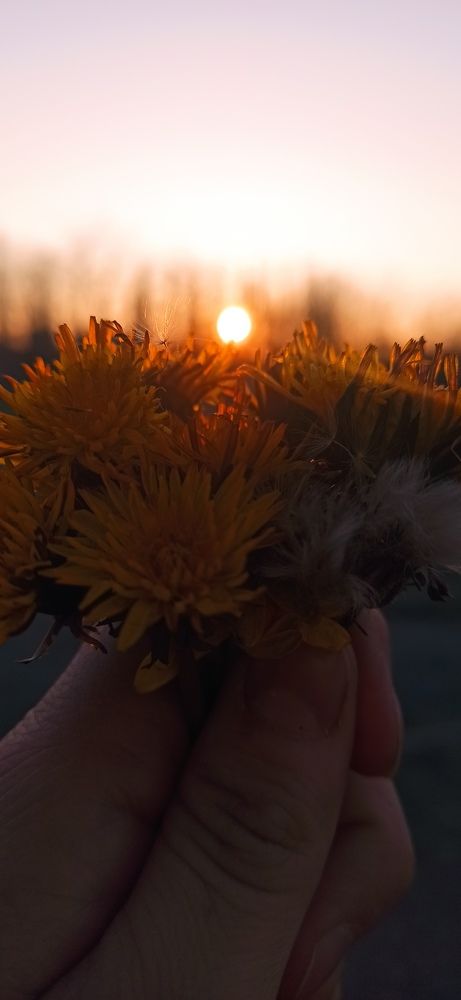 Photograph by Виорика Фоменко