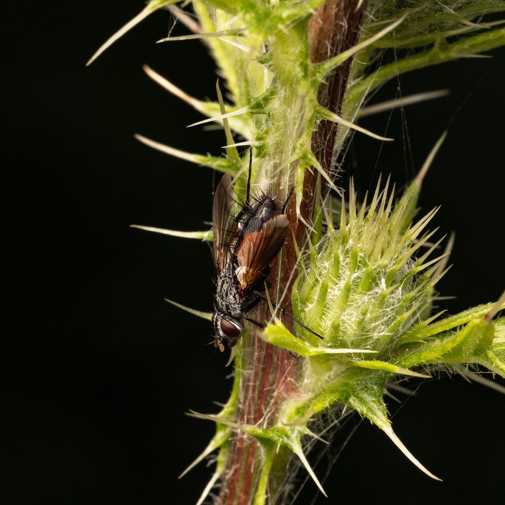 Photograph by Пономарев Илья