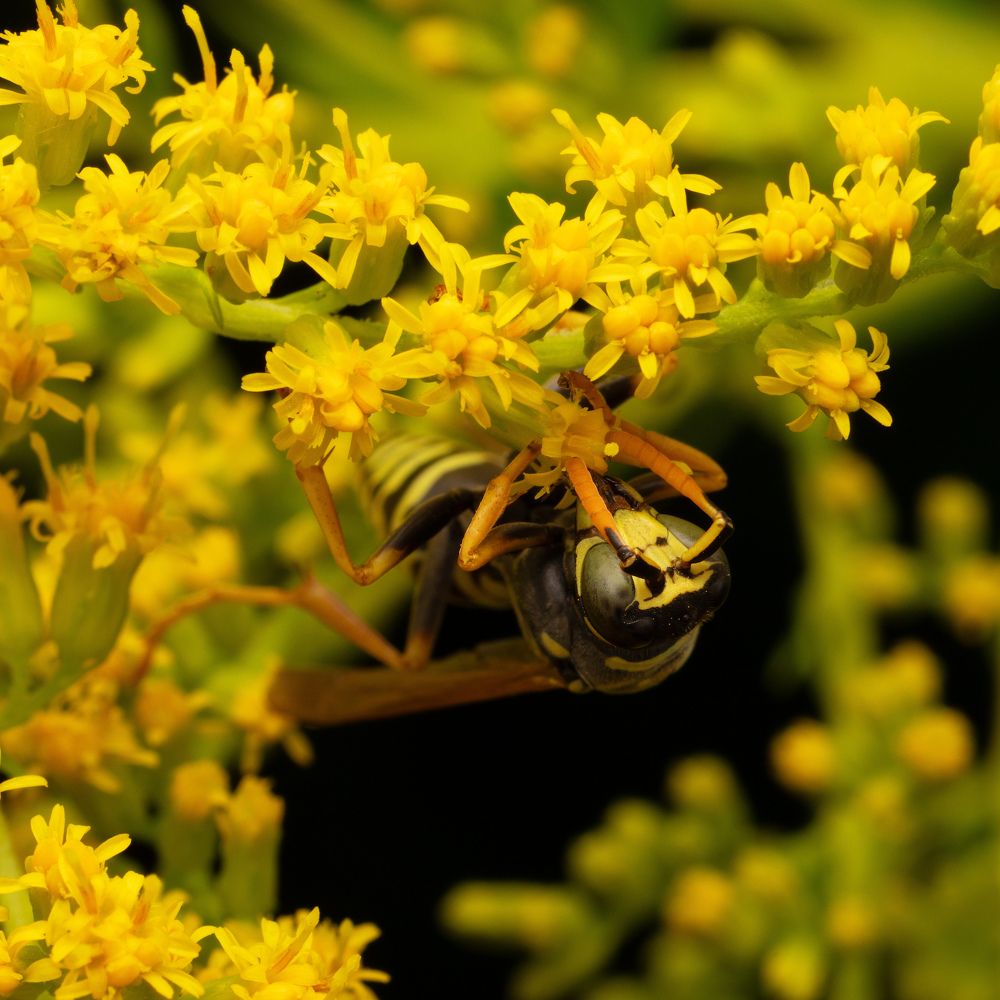 Photograph by Пономарев Илья